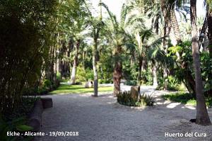 19 ELCHE HUERTO DEL CURA (12)
